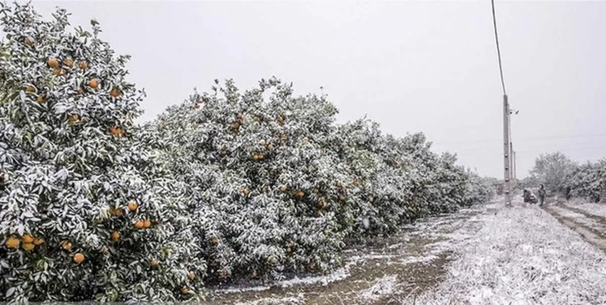 بارش برف و تگرگ در برخی مناطق کشور / آسمان تهران بعدازظهر فردا بارانی است