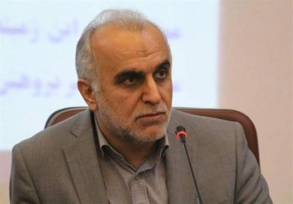 اظهارات عجیب وزیر اقتصاد درباره پالایش یکم!