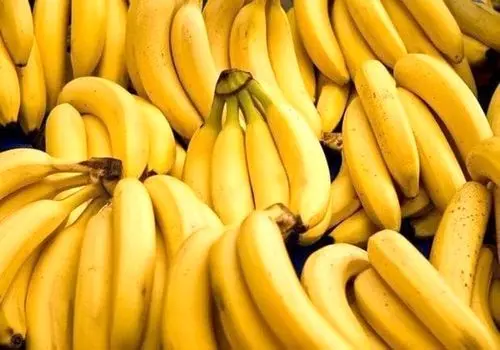 قیمت خیار و کاهو نجومی شد