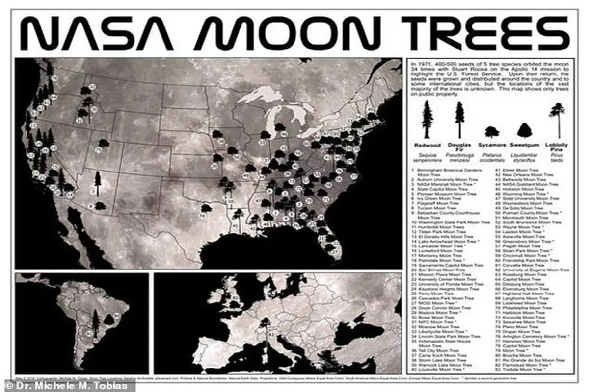 ناسا نقشه "درختان ماه" را منتشر کرد+ عکس