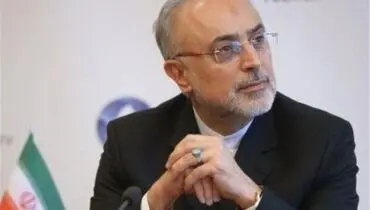 صالحی: برای اخراج ناظران آژانس فعلاً نمی‌توانیم پیشگویی داشته باشیم