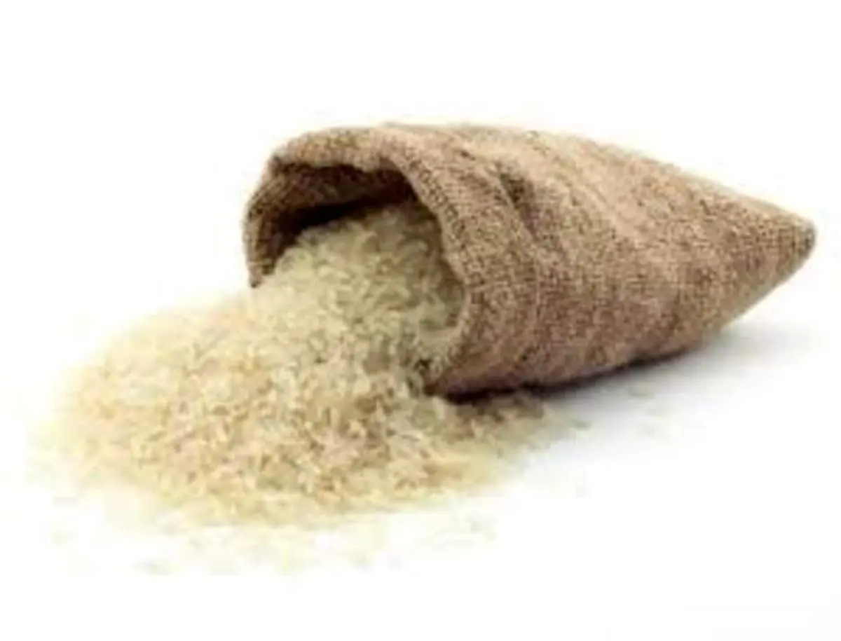 سرقت ٣ گونی برنج از یک فروشگاه توسط یک خانم+فیلم