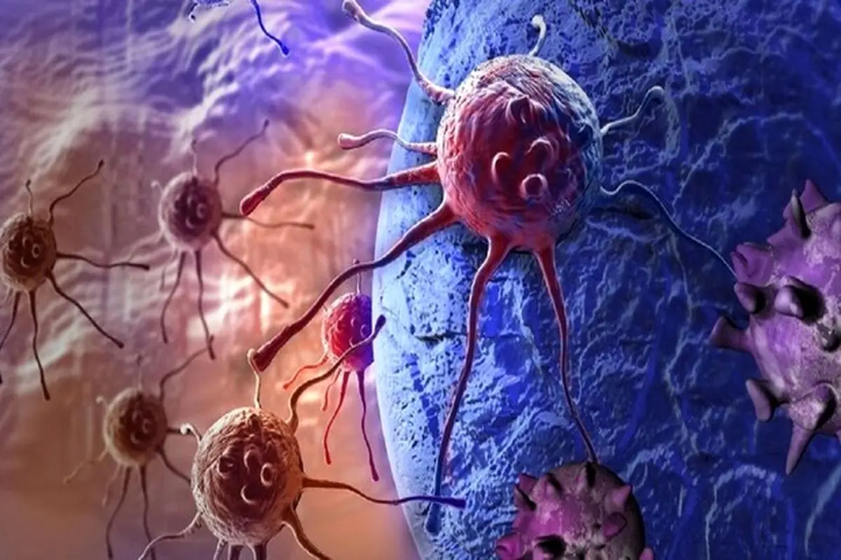 کشف روشی جدید برای کاهش خطر سرطان کبد