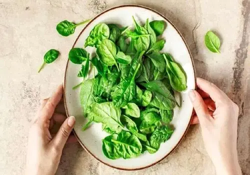 راهنمای حیاتی بهداشت آب در شرایط جنگ