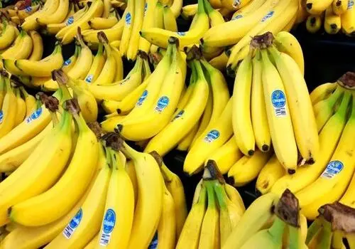 اطلاعیه مهم درباره وضعیت فعالیت میادین میوه و تره‌بار برای فردا ۲۲ بهمن
