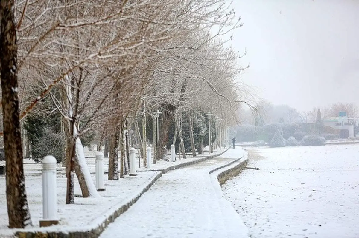 هواشناسی ایران ۹۹/۱۱/۱۱|تداوم بارش برف و باران در ۱۴ استان