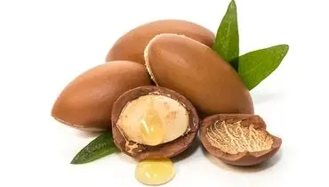 خواص روغن آرگان برای پوست، مو و سلامت بدن