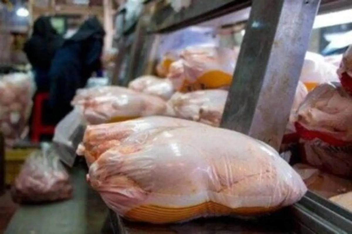 علت افزایش ۳۰۰۰تومانی قیمت مرغ