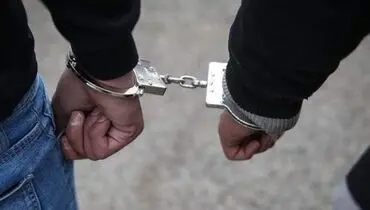 یکی از مدیران شهر خودرو بازداشت شد + دلایل بازداشت