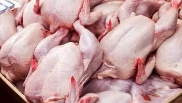 آخرین پیش بینی‌ها درباره قیمت مرغ