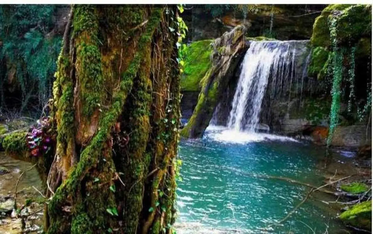 آشنایی با بهشت گمشده+عکس