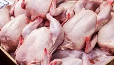 آخرین پیش بینی‌ها درباره نرخ مرغ