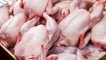 آخرین پیش بینی‌ها درباره نرخ مرغ