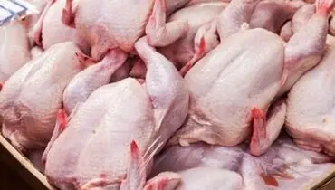 افزایش مجدد قیمت مرغ در بازار