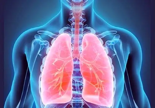 کدام دمنوش‌ها سرماخوردگی را کوتاه‌تر می‌کنند؟