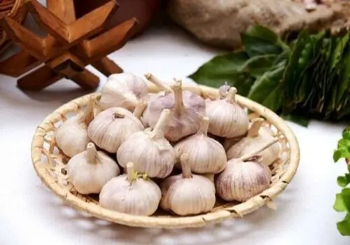 کنترل قندخون با 5 راهکار جادویی