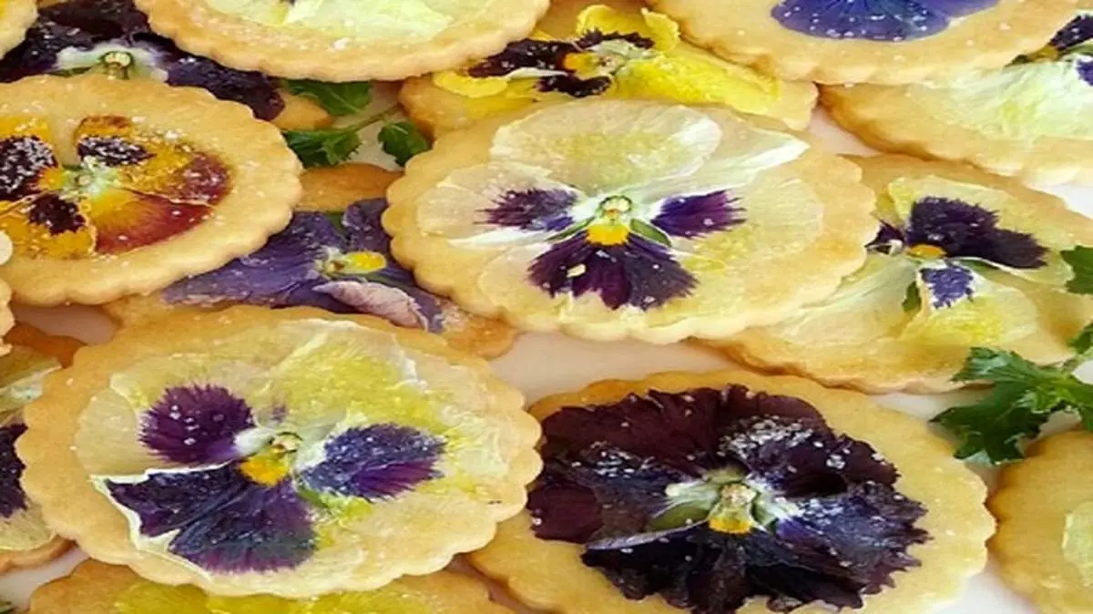 طرز تهیه کوکی گل بنفشه متفاوت و خوشمزه