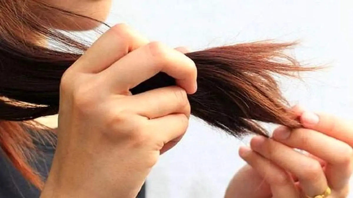 دلایل شکستگی مو و راههای درمان شکنندگی آن