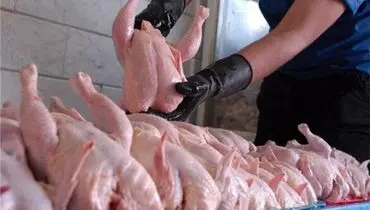 قطعه بندی کردن مرغ ممنوع است/ نرخ مصوب در بازار رعایت شود