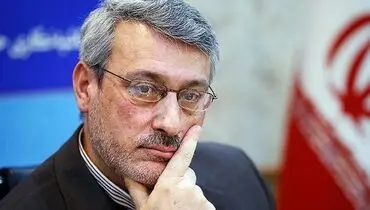 توضیحات بعیدی نژاد در مورد یک نشست برای بررسی همکاری اقتصاد ایران و انگلیس