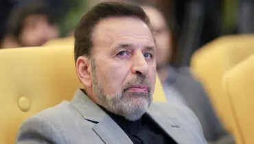واعظی: دولت هیچ گاه به دنبال گران کردن ارز نبوده است