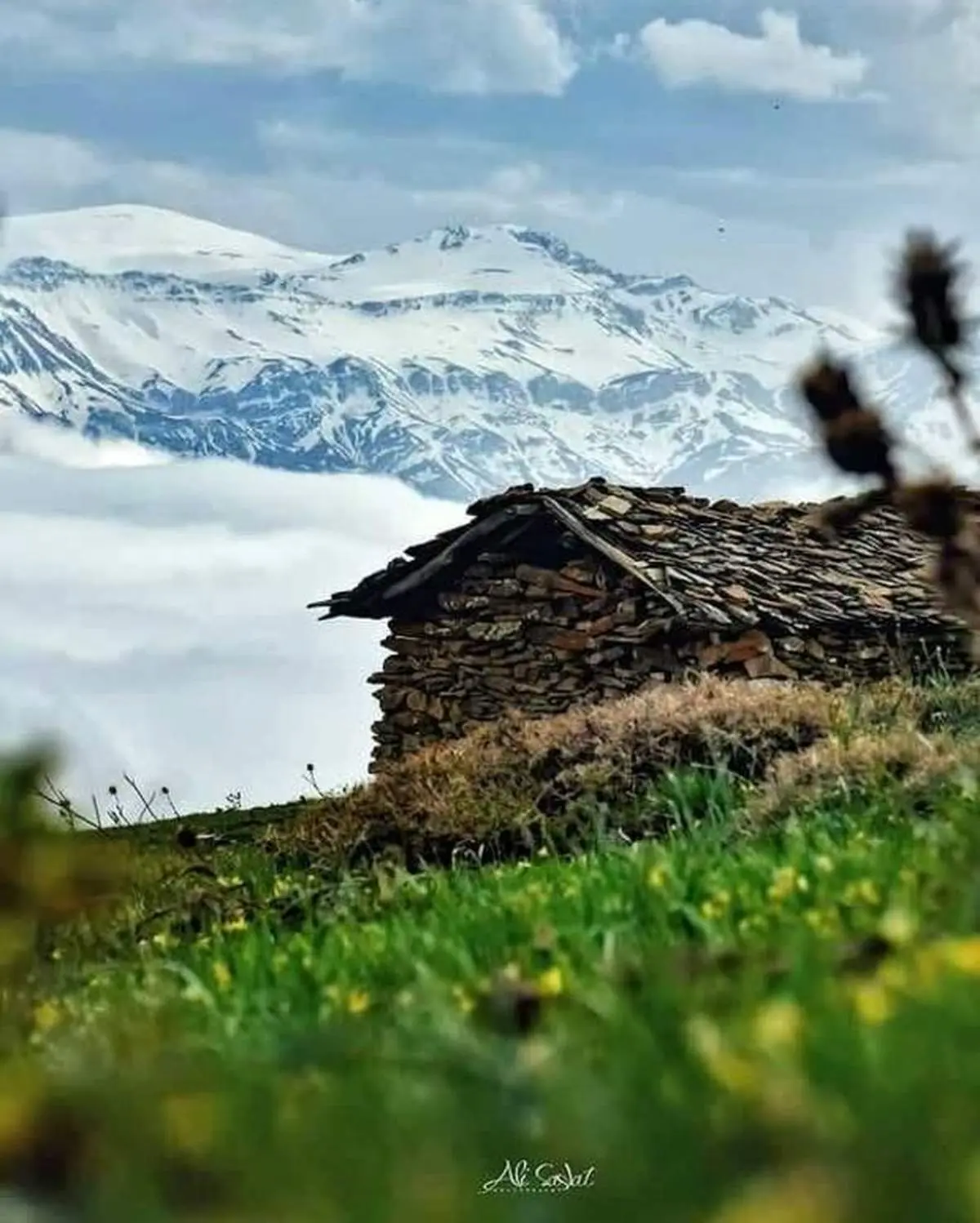 بهار و زمستان در یک قاب+عکس