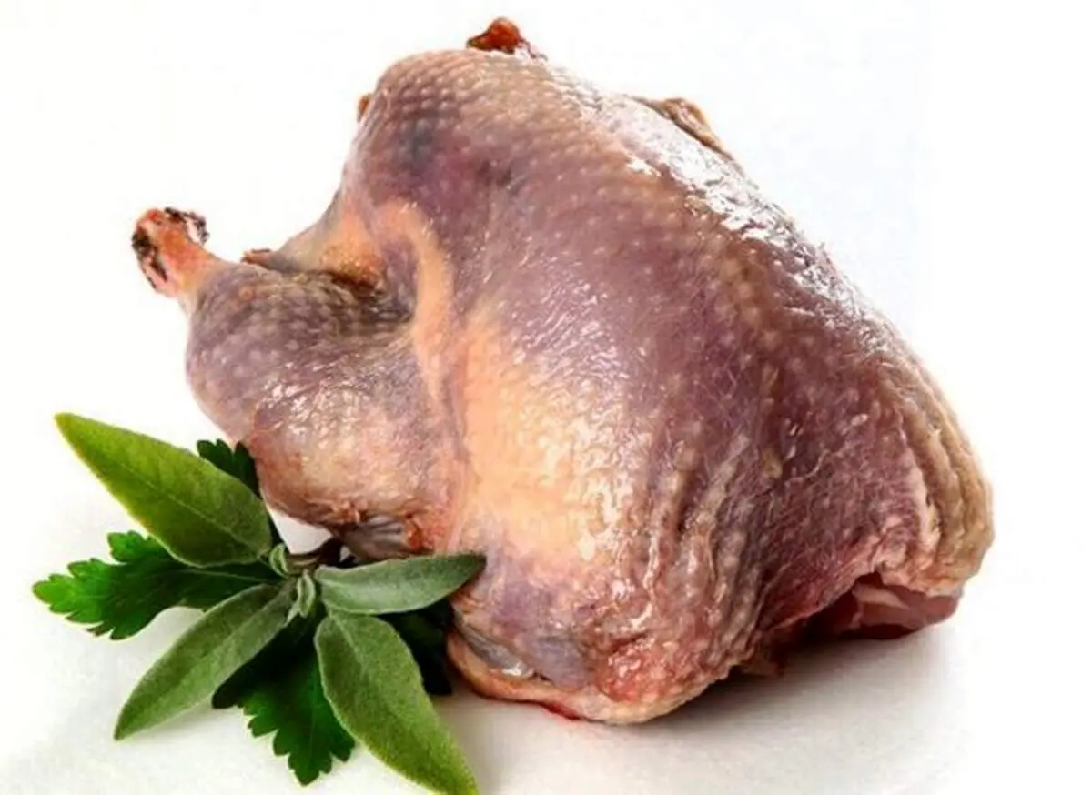 قیمت مصوب گوشت بوقلمون+جدول