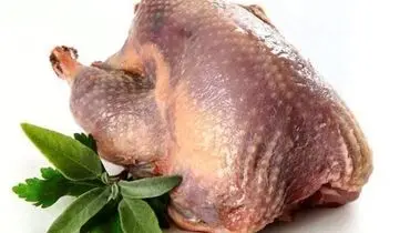 قیمت مصوب گوشت بوقلمون+جدول