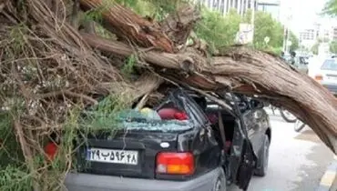 آخرین خسارت‌های زلزله و طوفان شب گذشته