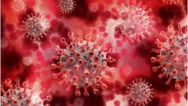 علائم کرونای جهش یافته انگلیسی / روند افزایشی گردش ویروس در کشور