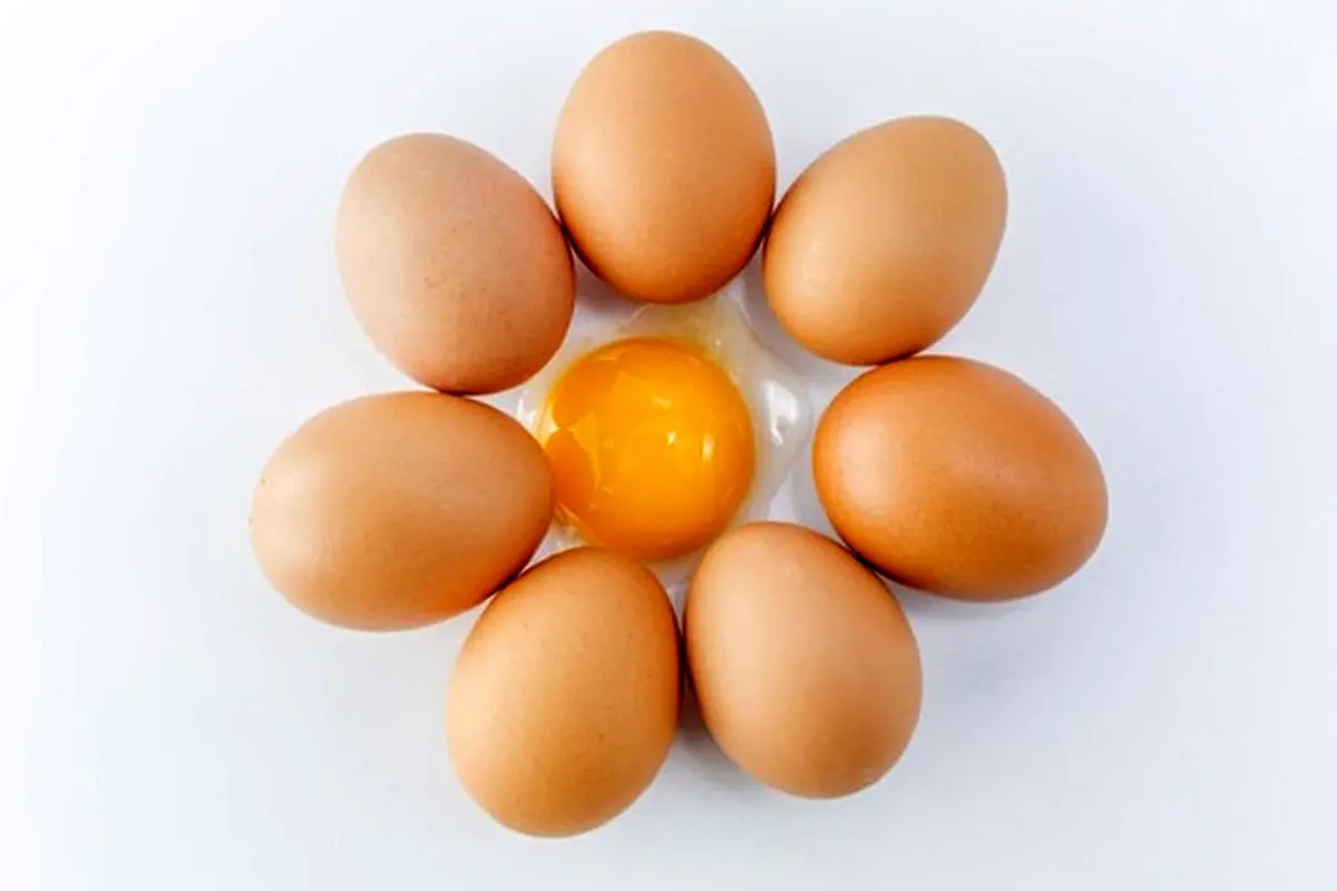 رنگ پوسته تخم مرغ بیانگر کیفیت آن است؟