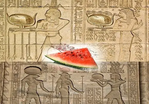 هیروگلیف»؛ خط مصریان باستان چگونه رمزگشایی شد؟ 