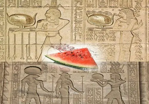 هیروگلیف»؛ خط مصریان باستان چگونه رمزگشایی شد؟ 