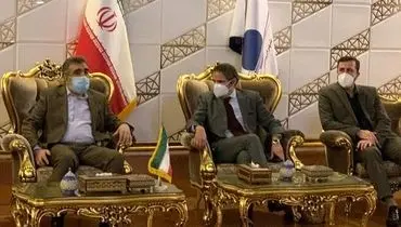 مدیر کل آژانس بین‌المللی انرژی اتمی وارد تهران شد+ عکس