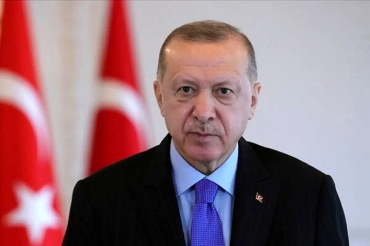 اردوغان: حضور کودتاگردان در کشور مدعی دموکراسی تناقض بزرگی است
