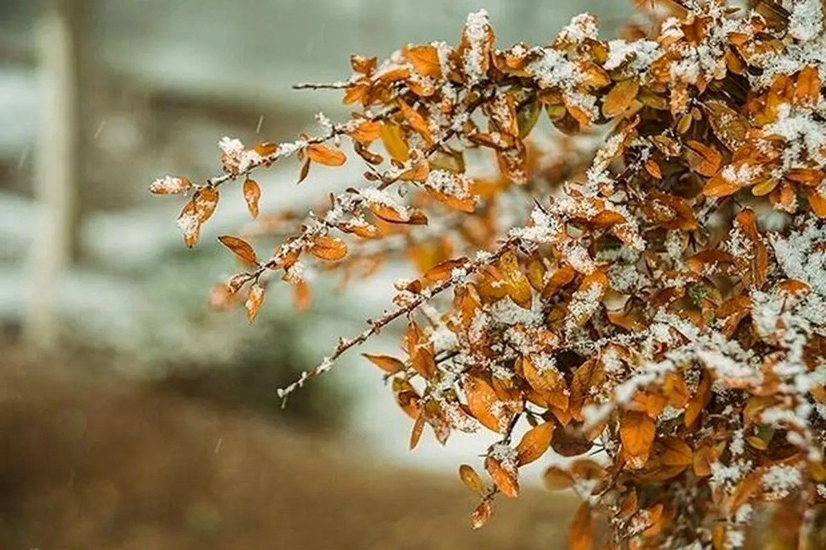 آخرین نفس‌های زمستان در تبریز