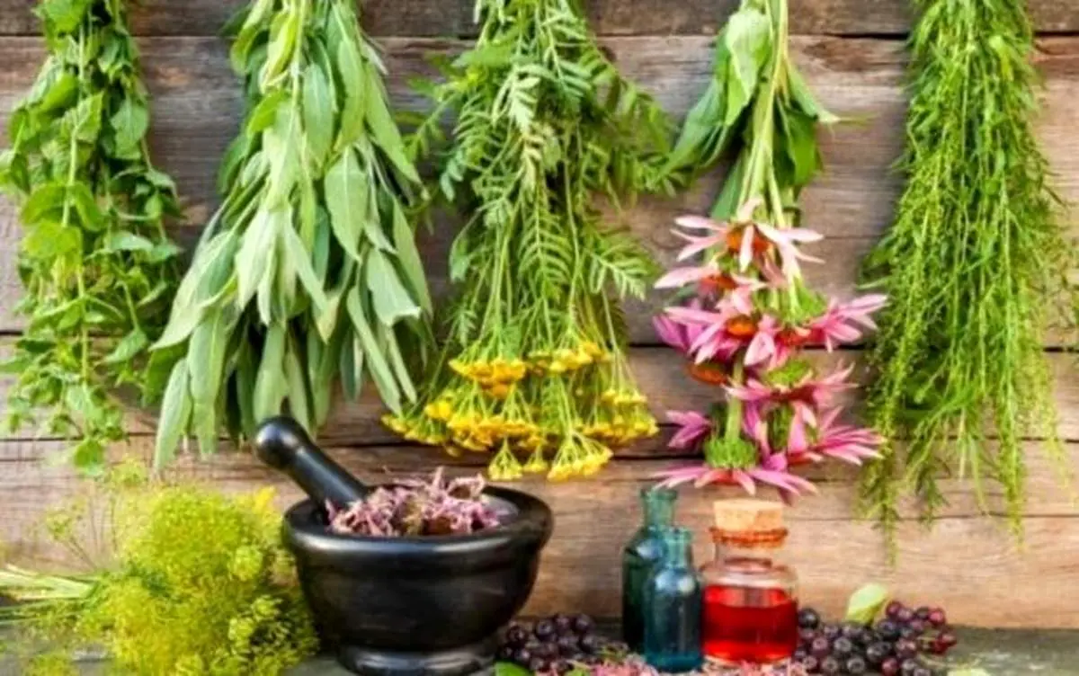 معرفی ۱۱ گیاه دارویی و مکمل برای درمان افسردگی