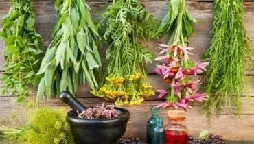 معرفی ۱۱ گیاه دارویی و مکمل برای درمان افسردگی