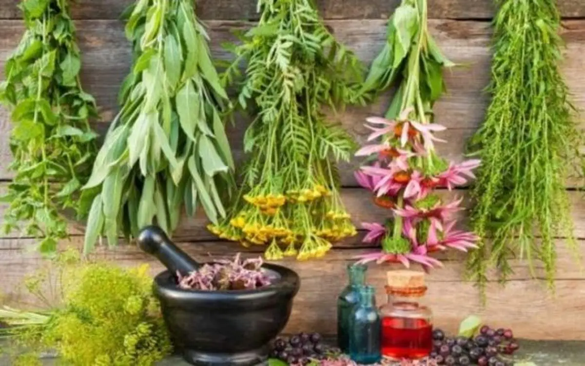 معرفی ۱۱ گیاه دارویی و مکمل برای درمان افسردگی