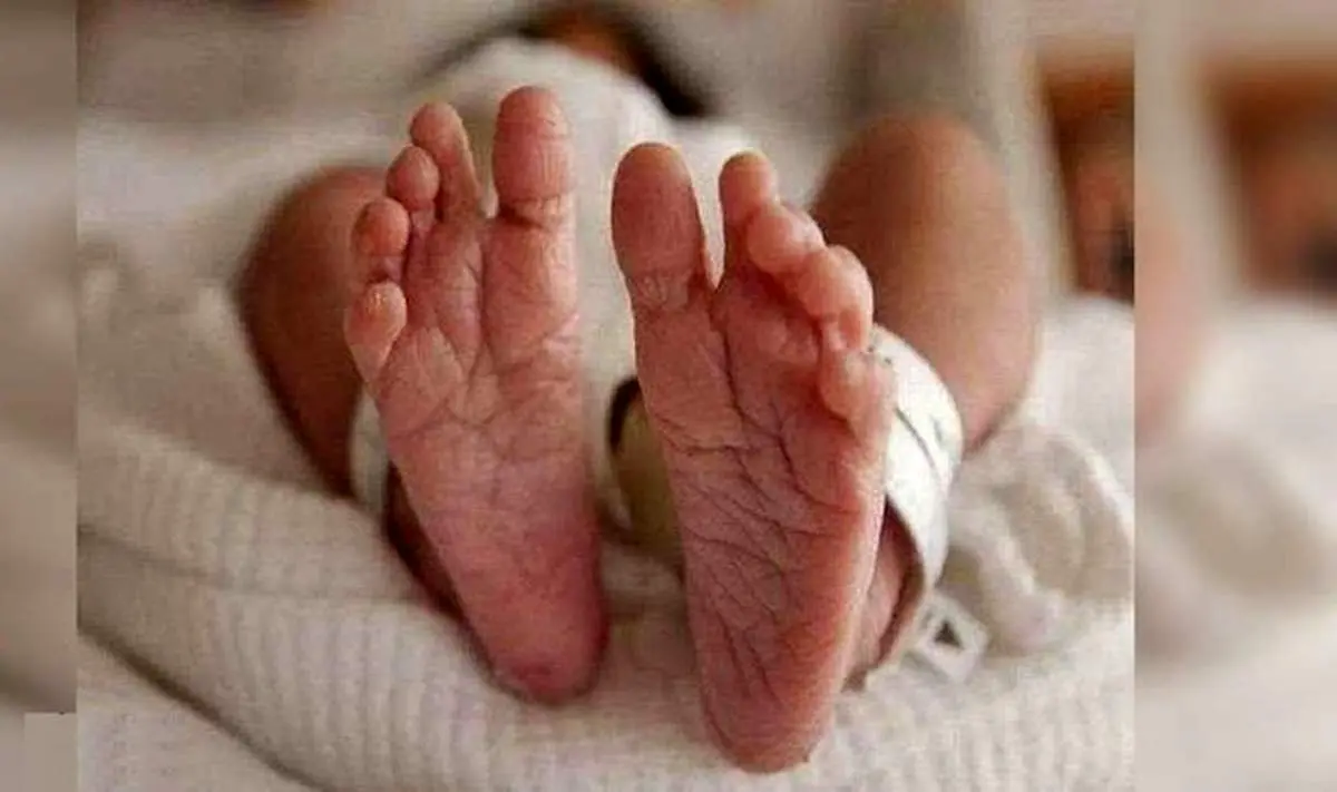 ماجرای دردناک کودک دو روزه که خوراک حیوانات وحشی شد