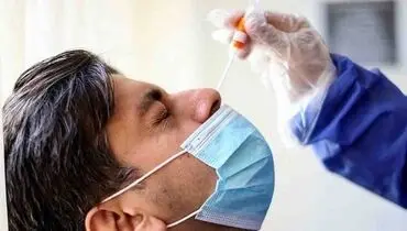 افرادی که جراحی بینی کردند هنگام تست کرونا با مشکل روبرو می‌شوند؟