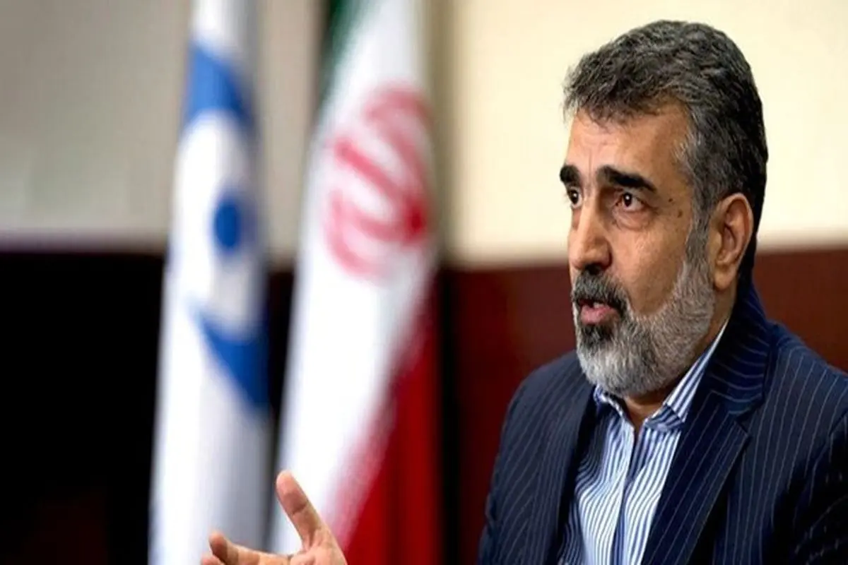 کمالوندی: همواره گفته ایم که ایران فشار و تهدید را نمی‌پذیرد
