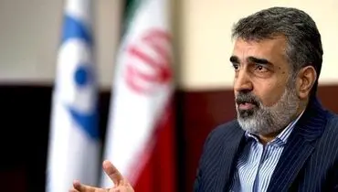 کمالوندی: همواره گفته ایم که ایران فشار و تهدید را نمی‌پذیرد