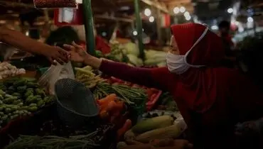 تداوم روند صعودی قیمت جهانی مواد غذایی