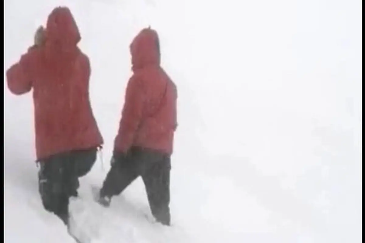 نجات پنج کوهنورد گرفتار در ارتفاعات توچال + فیلم