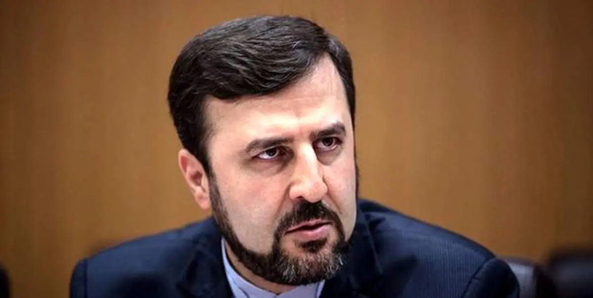 غریب آبادی: ایران ترور شهید فخریزاده را بی پاسخ نمیگذارد