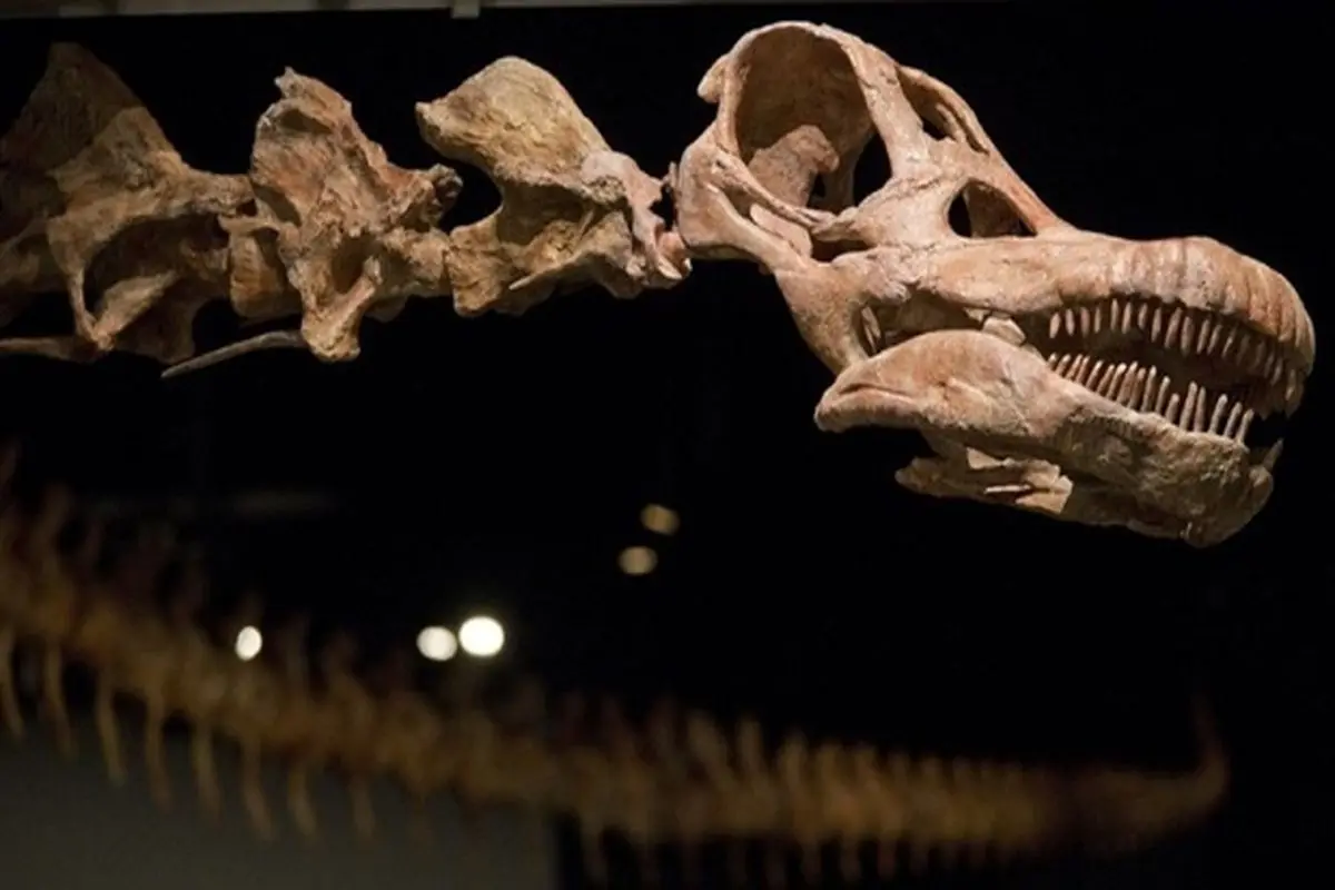 کشف بقایای قدیمی‌ترین دایناسور موجود در کره زمین + تصاویر