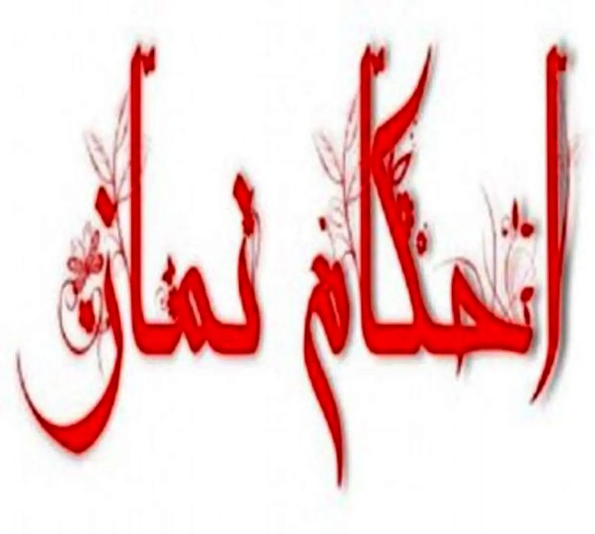حکم شرعی فراموش کردن مقدار نماز‌های قضا از زمان بلوغ