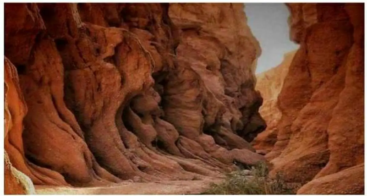 کال جنی کجاست؟+عکس