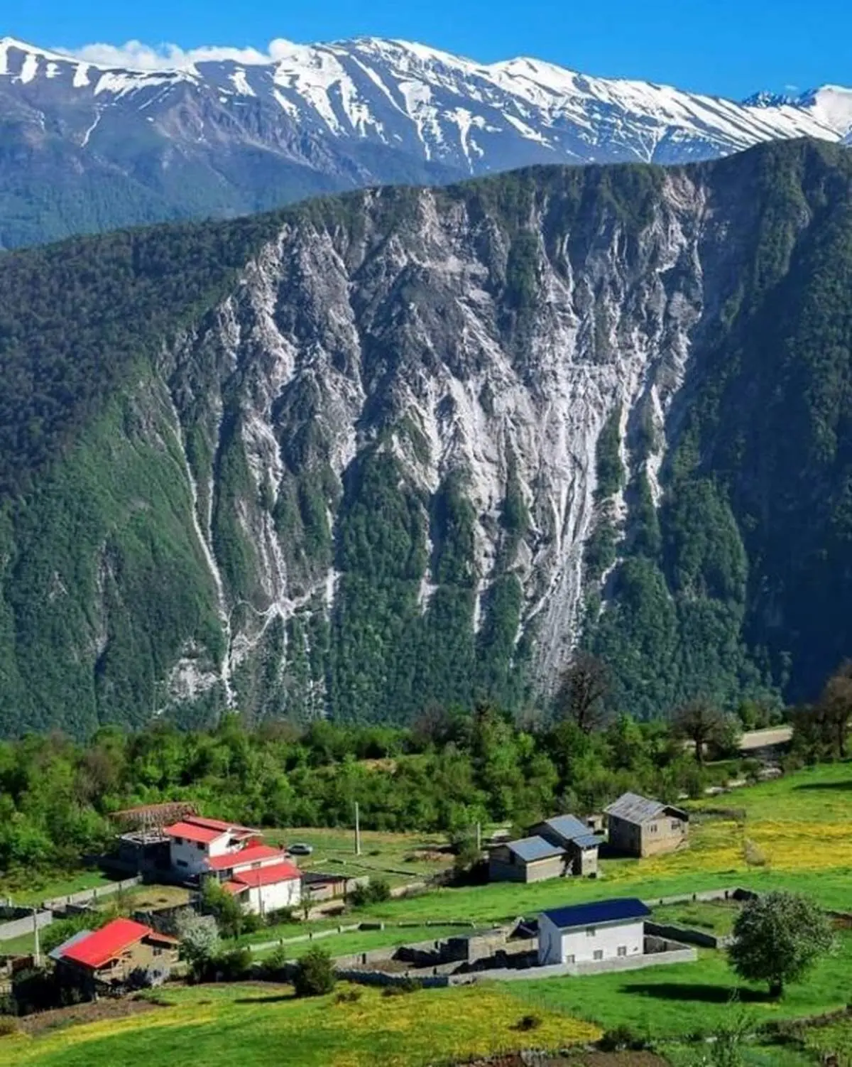 بهار و زمستان در یک قاب